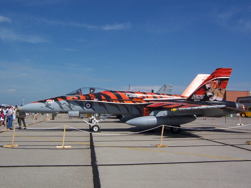 This is the craziest beautiful jet repaint I have ever seen! GRRR!