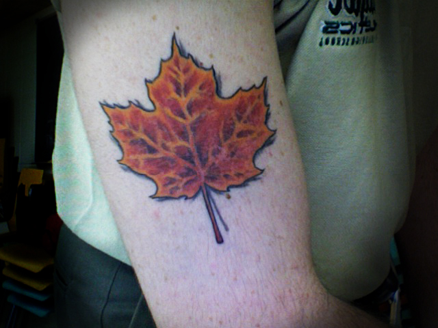 Just a quick snap of my proud Canadian maple leaf.

I hope you like it.

K