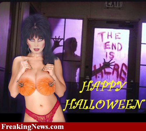 Elvira's pumpkins